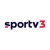 spor3